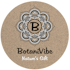 Logo for the brand Botanivibe